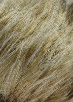 Lang Yarns Soft hair 847.0039 zand gemeleerd (op=op)
