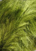 Lang Yarns Soft hair 847.0044 lime groen (op=op)