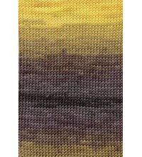 Lang Yarns Merino plus color 926.0067 bruin geel (op=op)