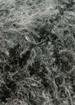 Lang Yarns Yara 955.0015 (op=op)