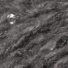 Cheval Blanc Saphir 306 Cendre (op=op)