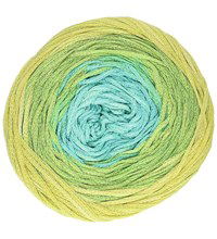 Schachenmayr Shades of Summer 00083 oasis Color (op=op)