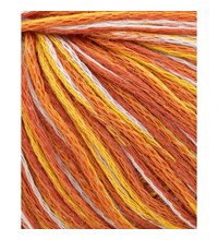 Phildar Phil Exotique Savane (op=op)